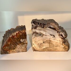 Large Petrified Wood Bookends – Natural Fossilized Wood Pair